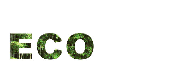The inscription "Eco". Bamboo Text Design. Banner.Copy space for text.
