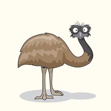 recommend clip art: Emu Bird Cartoon Cute Animals