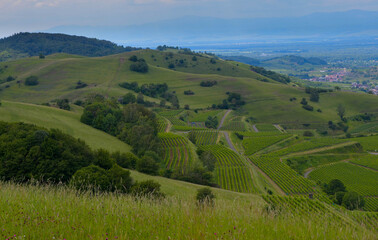 Obraz premium Blick vom Badberg im Kaiserstuhl