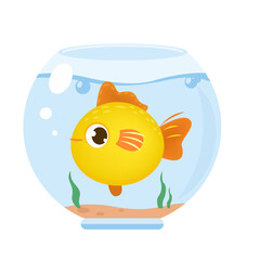 A cute goldfish in an aquarium. Grooming pets.