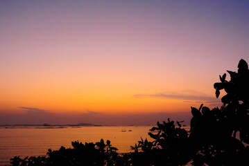 Fototapeta na wymiar Twilight sky at sea with tree top silhouette foreground