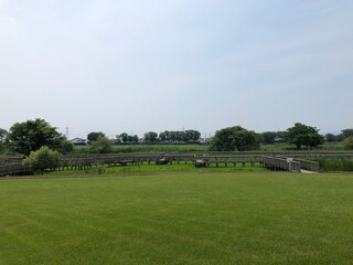 緑豊かな公園