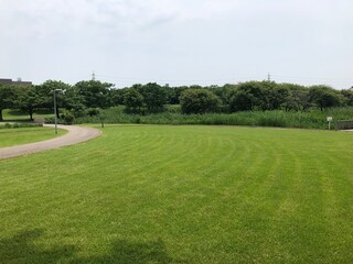 Obraz premium 緑豊かな公園