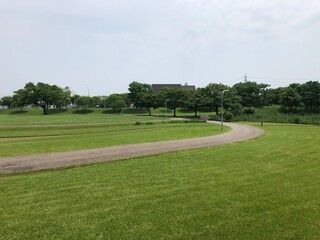 緑豊かな公園