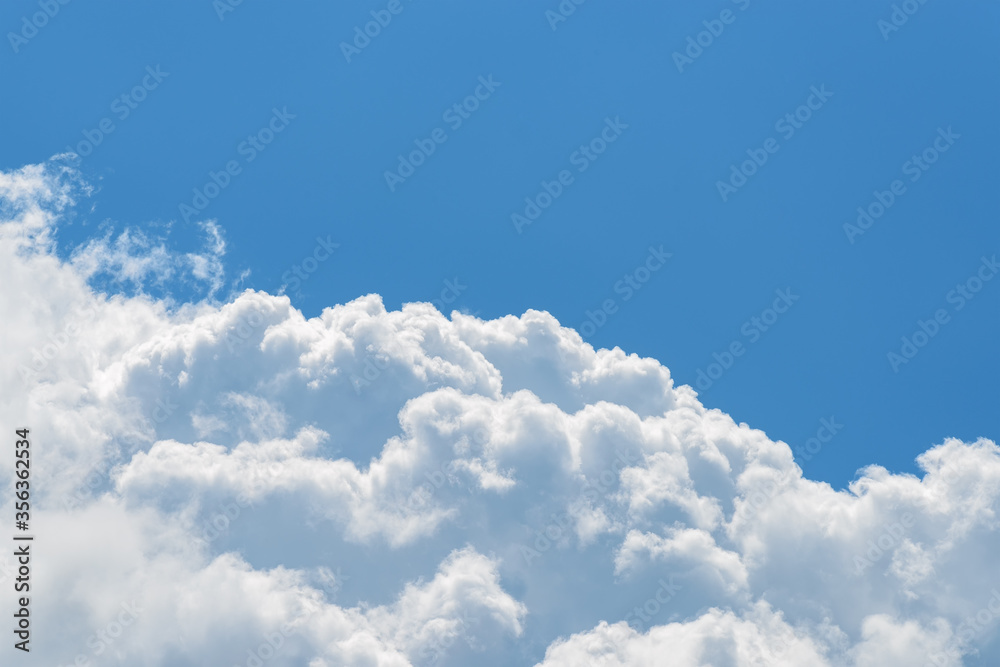 Wall mural cumulus cloud relief on a smooth background of clear summer sky. upper part of white fluffy cloud ag