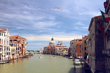 Summer view of Grand Canal with Santa Maria della Salute Basilica from Academia bridge. Venice....