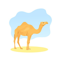 Wild desert camel in a bright sunny day. Arabian and african native animal. Dromedary sign. Travel and tourism symbol. Adventure icon. Ramadan element. Arab theme - Flat vector character illustration.