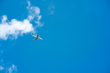 飛行機