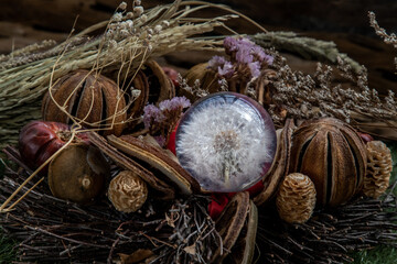 The freshness of Flower in Crystal glass in the middle of Dried flowers. World Environment and Ecology concept, Nature background.