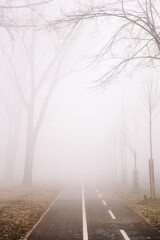 Bike path in the foggy winter day