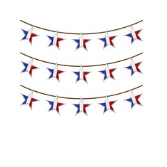 Obraz premium france flag buntings