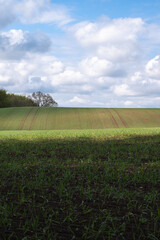 Rolling hills of agricultural fields in a rural area of southern Sweden