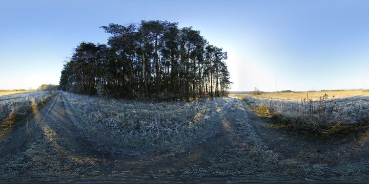 Winter Forest HDRI Panorama