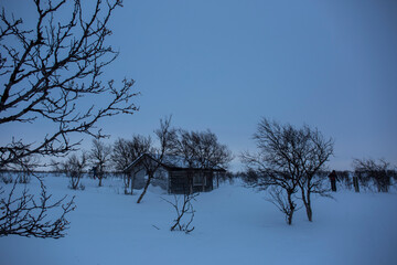 Ski expedition in Nuorgam, Lapland, Finland