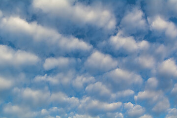 Banding of Altocumulus clouds in the morning