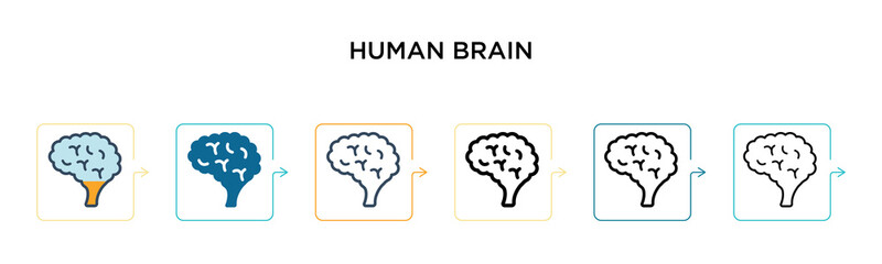 Human brain vector icon in 6 different modern styles. Black, two colored human brain icons designed in filled, outline, line and stroke style. Vector illustration can be used for web, mobile, ui