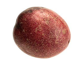 Tropical passion fruit creeper isolated object
