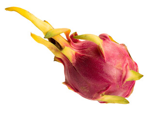 Pitaya cactus fruit isolated object