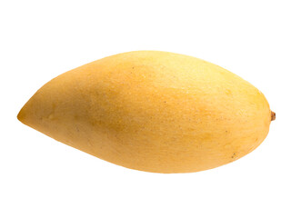 Graphic resources: isolated object fruit of a plant of the genus Mango of the Anacardia family