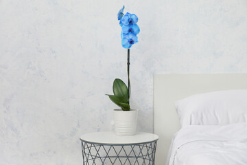 Beautiful orchid plant on table in bedroom
