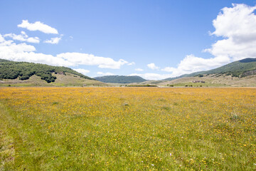 Fototapeta premium Mountain landscape of the Italian Apennines. Flowery field in spring. Plateau Rascino with flowering and greenery. Italian mountain panorama. Real picture