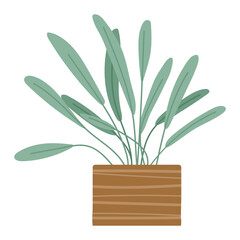 Green indoor houseplant and flower in pot icon on white. Plant growing in pot or planter. Beautiful natural home and office decorations. House plant, flowerpot object. Trendy vector in flat cartoon