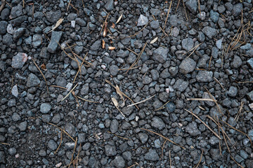 Texture of gravel road in coniferous forest