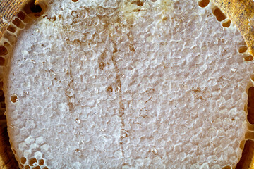 Organic honeycomb (Turkish Karakovan Honey). Karakovan natural honeycomb made in nature.