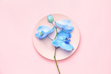 Beautiful orchid flowers and plate on color background