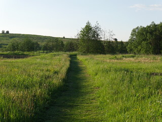 road in the field