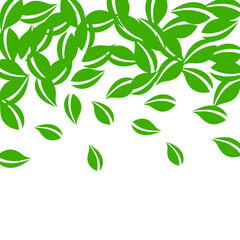 Falling green leaves. Fresh tea neat leaves flying