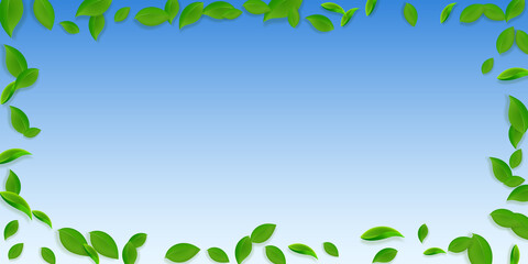 Falling green leaves. Fresh tea chaotic leaves fly