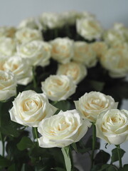A large bouquet of white roses on a gray background.Space for text.Greeting card.