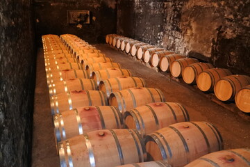 wine barrels in cellar