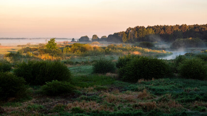 Poranne mgły w Dolinie Górnej Narwi, Podlasie, Polska © podlaski49