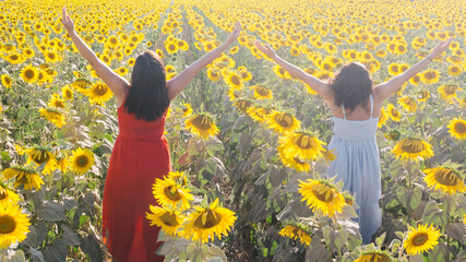 sunflower field at sunset time with two female models