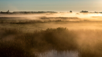 Poranne mgły w Dolinie Górnej Narwi, Podlasie, Polska © podlaski49