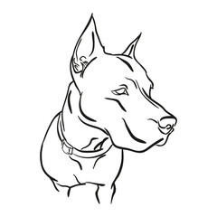 pitbull for logo, symbol, simple illustration, sport team emblem, mascot, design element and label, security idea,