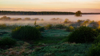 Poranne mgły w Dolinie Górnej Narwi, Podlasie, Polska © podlaski49