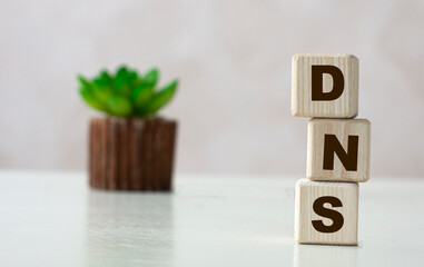 DNS acronym on wooden cubes on a light background with a cactus