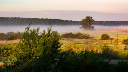 Poranne mgły w Dolinie Górnej Narwi, Podlasie, Polska