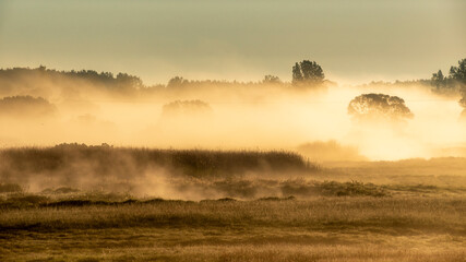 Poranne mgły w Dolinie Górnej Narwi, Podlasie, Polska © podlaski49