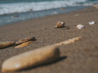 Beautiful Seashells And Sea Stones In The sand on the Sea Coast. Sea Waves On The Shore. Summer Concept. Wallpaper. High Quality