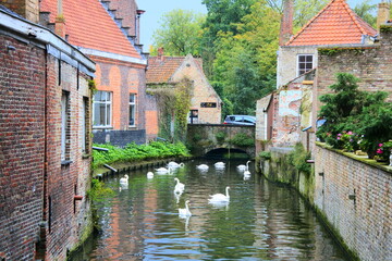 Europe Belgum