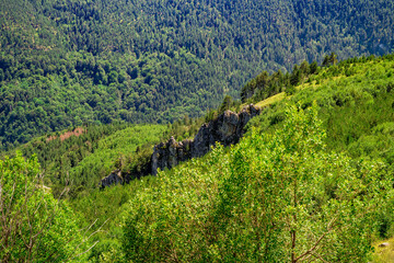 Fototapeta na wymiar Green mountains in the distance