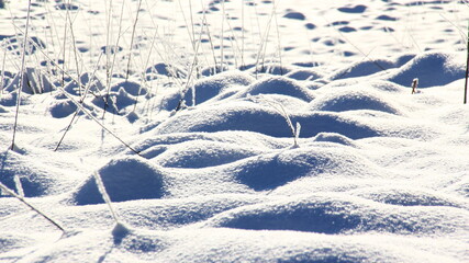 Fototapeta na wymiar Snowy landscape with straws from the snow.