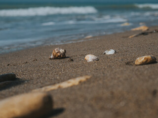 Beautiful Seashells And Sea Stones In The sand on the Sea Coast. Sea Waves On The Shore. Summer Concept. Wallpaper. High Quality