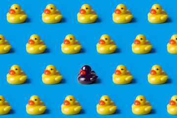 black duck surrounded by yellow ducks. Black lives matter