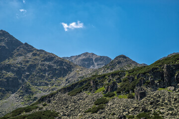 Fototapeta na wymiar Mountain peak