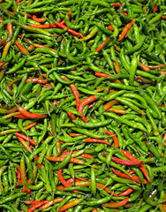 A large number of hot Chili Peppers